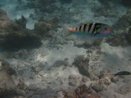 IMG_0744.jpg